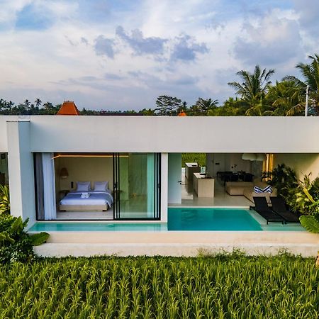 Green Flow Ubud Villas III Exterior foto